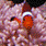 Va2kGt's Avatar