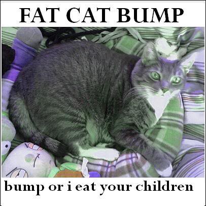 Fat Cat Bump