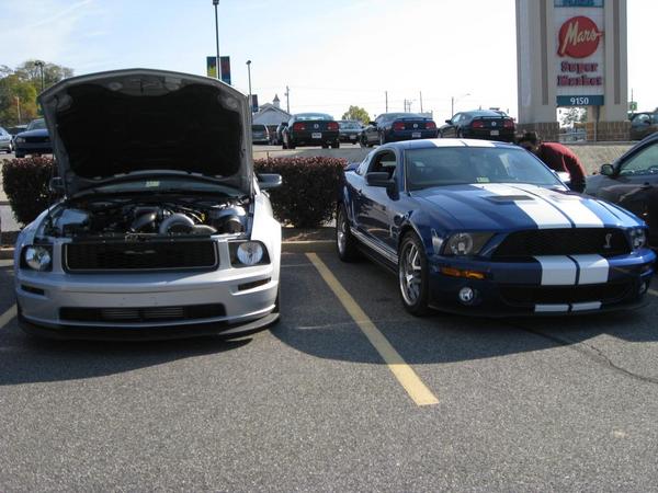 Mid-Atlantic Mustang Mania cruise stop 2 Marland. 11/1/2008